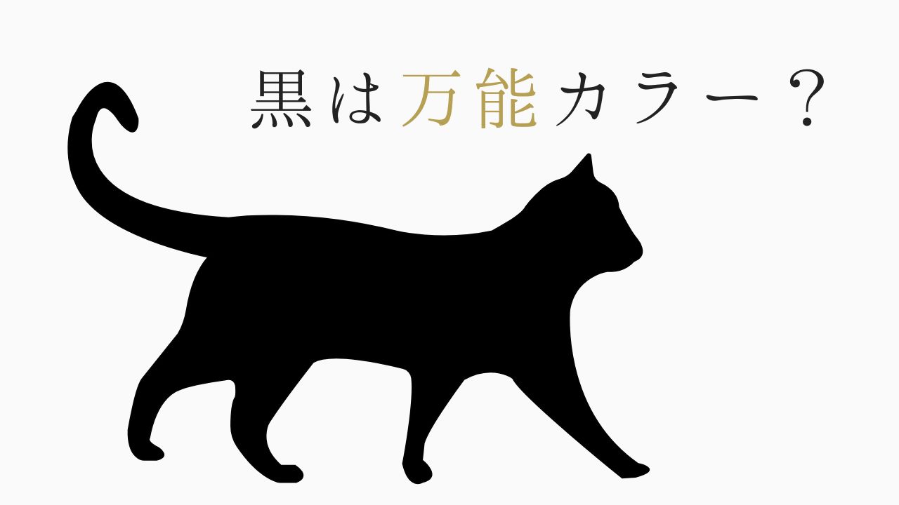 黒は万能カラー？